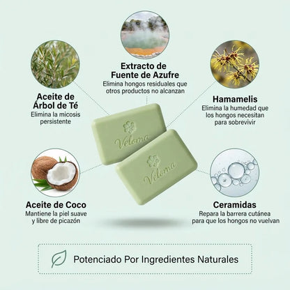 Veloma™–Acaba con el hongo desde la raíz