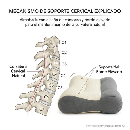 SleepComfort™–La Almohada Postural Nº1 en España